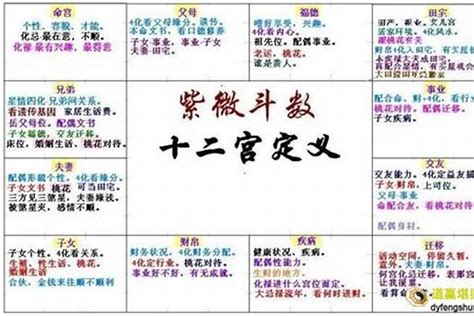 寡宿女命|紫微斗数诸星落命宫之：孤辰、寡宿详解【命理八字实战】